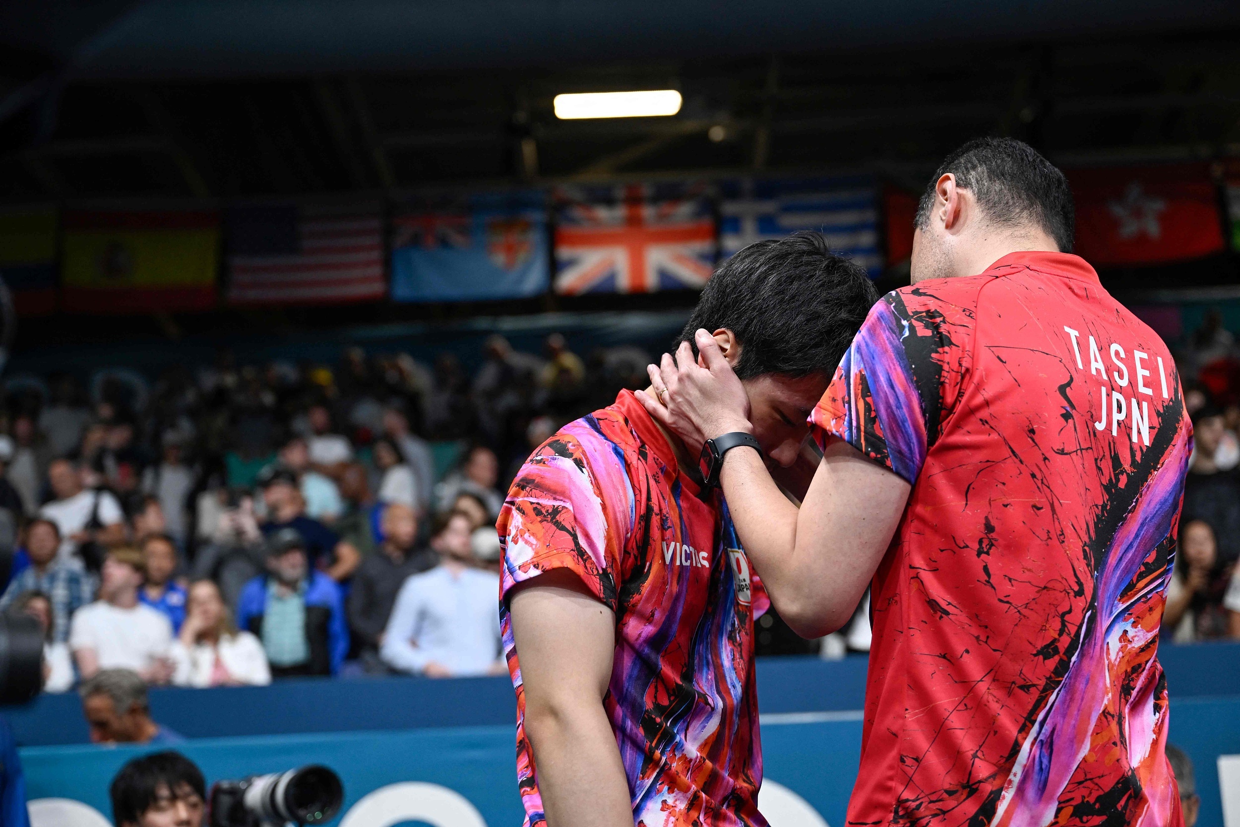 法国乒乓球队逆转奥地利乒乓球队，水谷隼统治全场的简单介绍