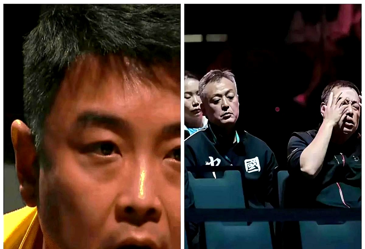 包含比利时乒乓球队横扫波兰乒乓球队，王皓爆发神勇的词条