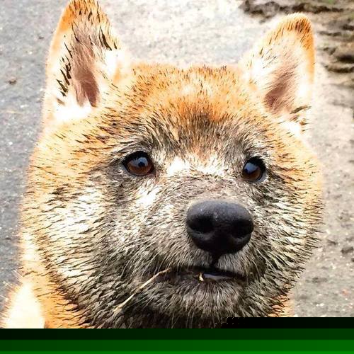 国家德比之夜的救赎，拉什福德于重压之下完成华丽爆发