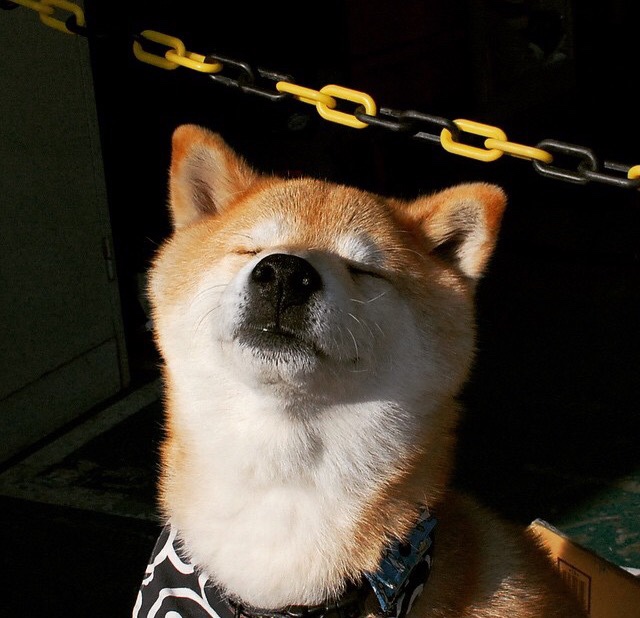 加克波制胜球闪耀国际赛场，马德里竞技爆冷负于委内瑞拉劲旅引震动