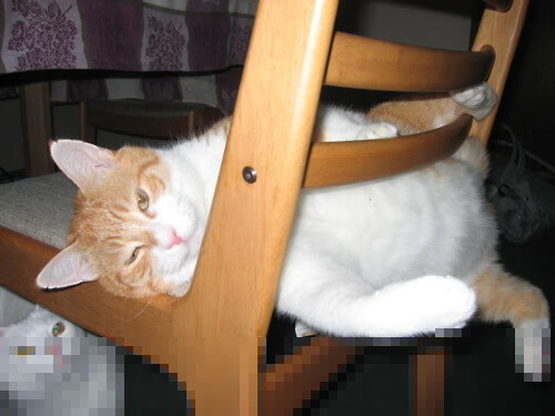 铁血防守与跨界统治，当罗马混凝土防线遇见NBA赛场的卢卡库时刻