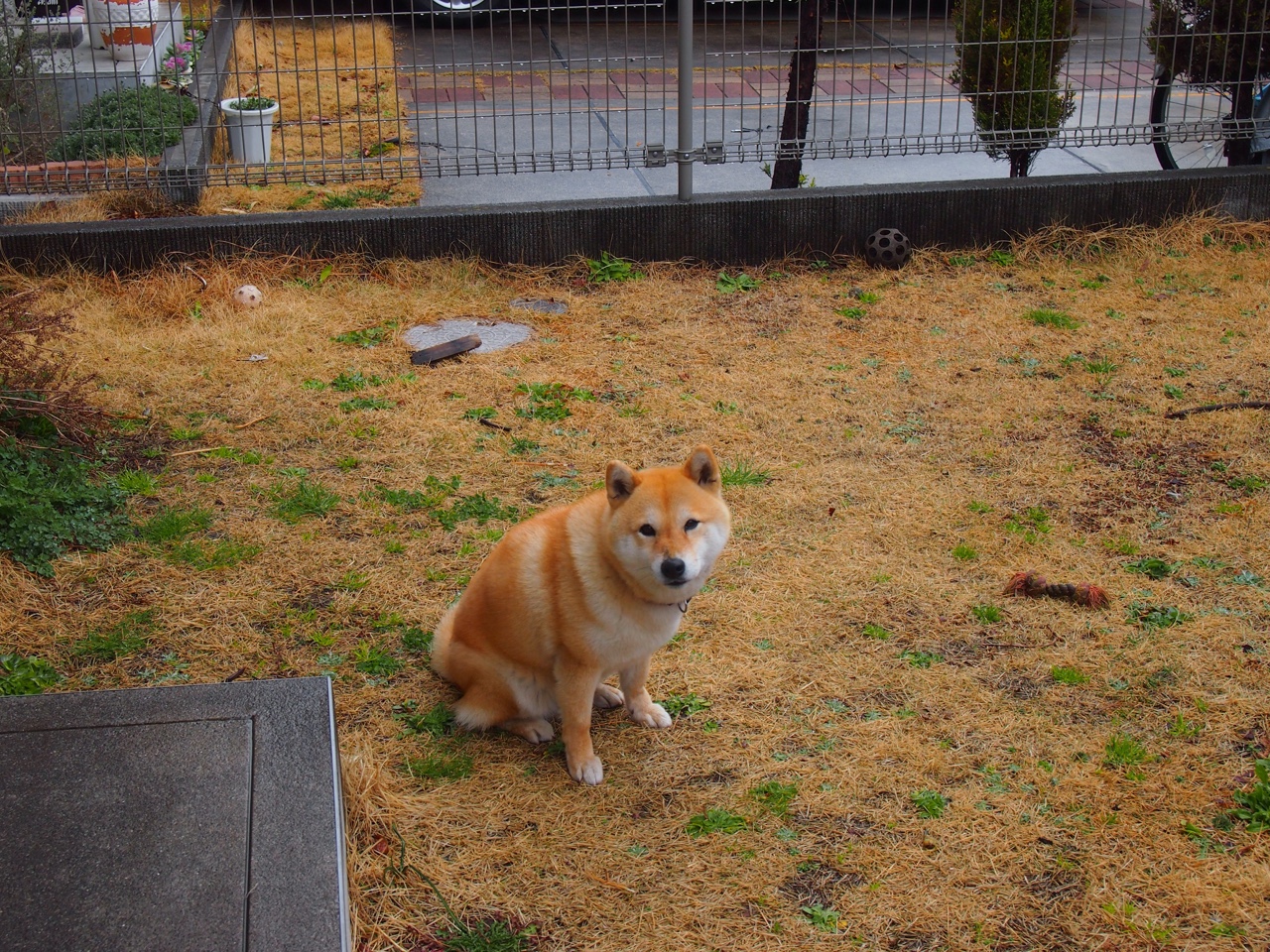 pg电子下载-冰与火之歌，佩德里导演，加纳绝杀曼联