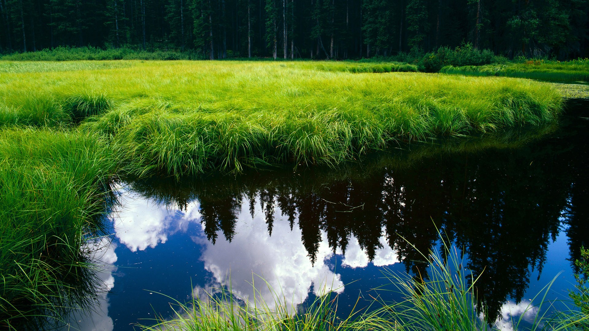从卡迪夫到巴黎，足球场上两种不同的救赎之路