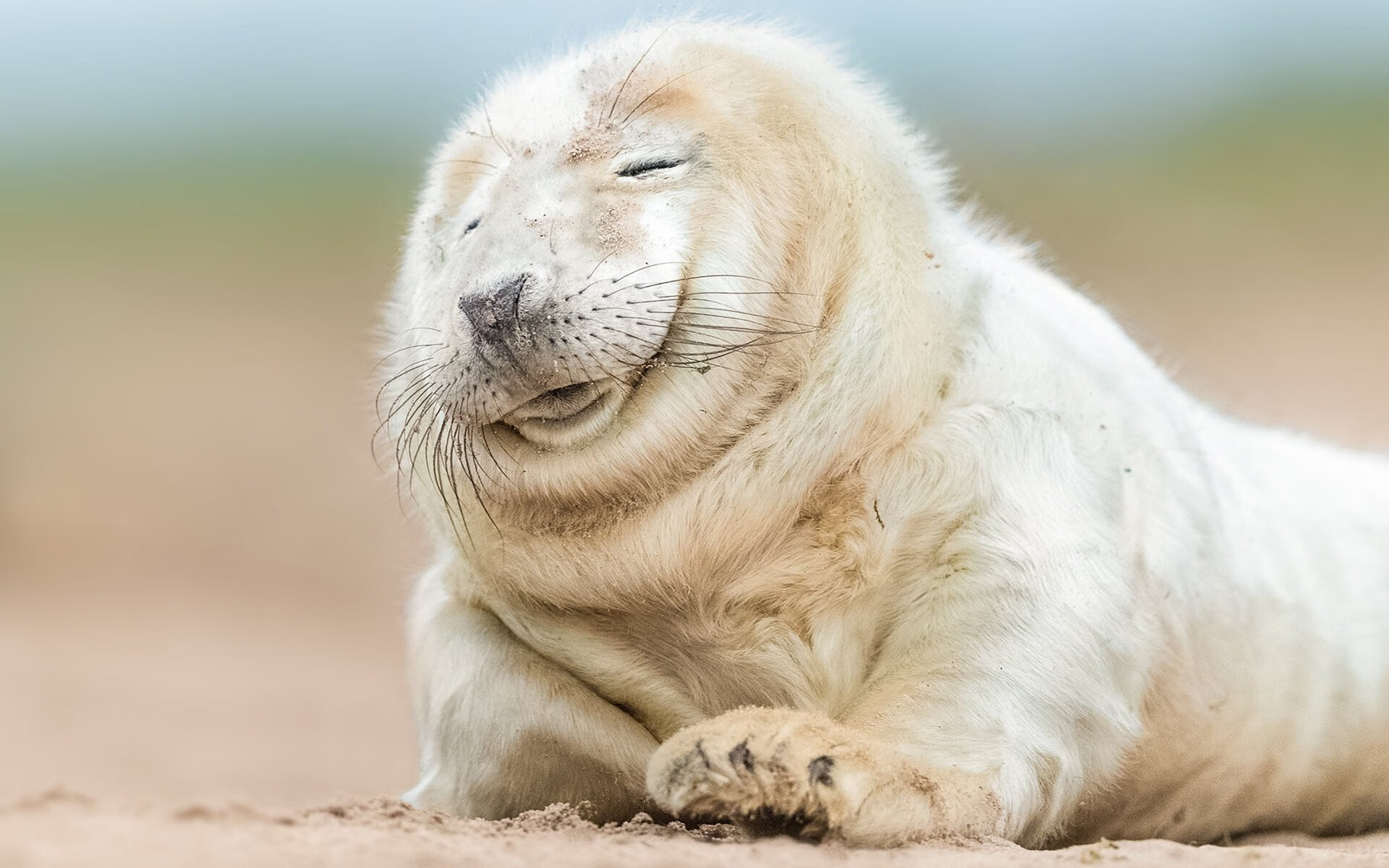 加拿大寒流席卷伯纳乌，西甲国家德比背后的北美革命