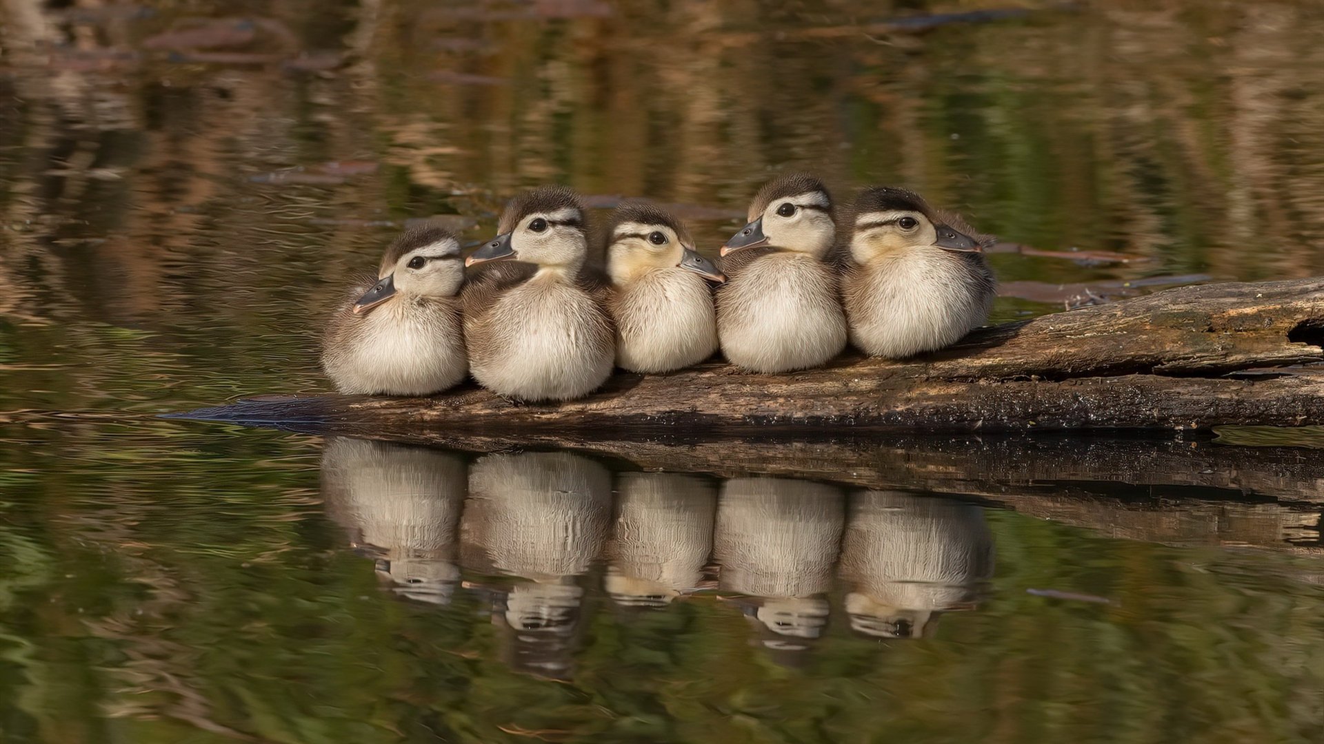钢铁防线，从弗拉霍维奇锁死强敌到冰岛粉碎牙买加的现代防守启示录