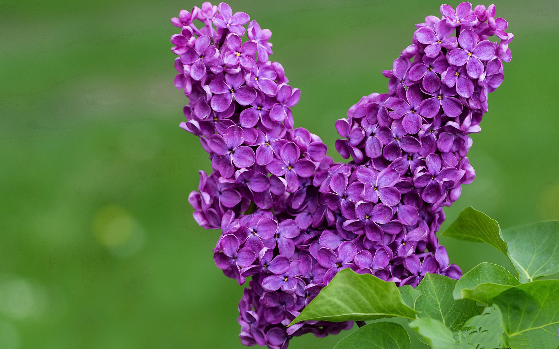 篮网三节打花快船！哈登35+11梦回火箭，小卡乔治罕见低迷
