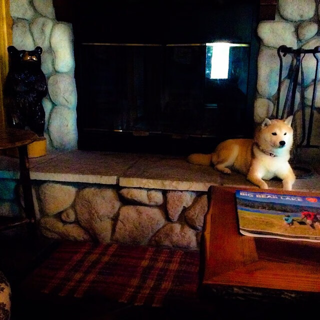 横扫与接管，鹈鹕的团队胜利与西亚卡姆的个人英雄主义