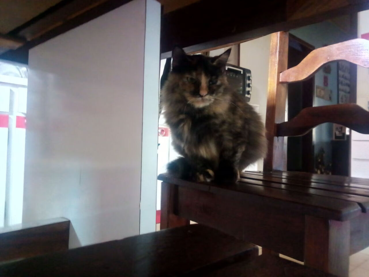 pg电子模拟器-冷门与巨星，篮球世界的双面镜像