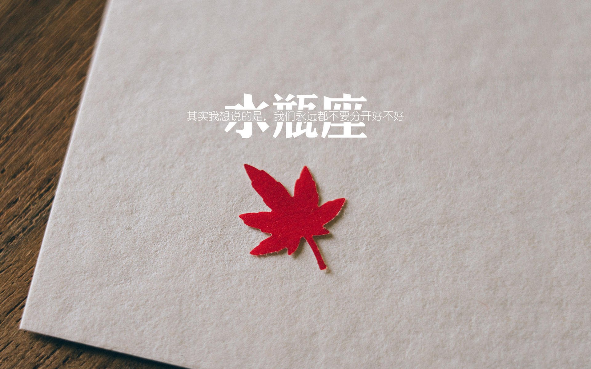 阿根廷稳如磐石,萨卡闪耀未来,当传统豪强遇见新生代主宰