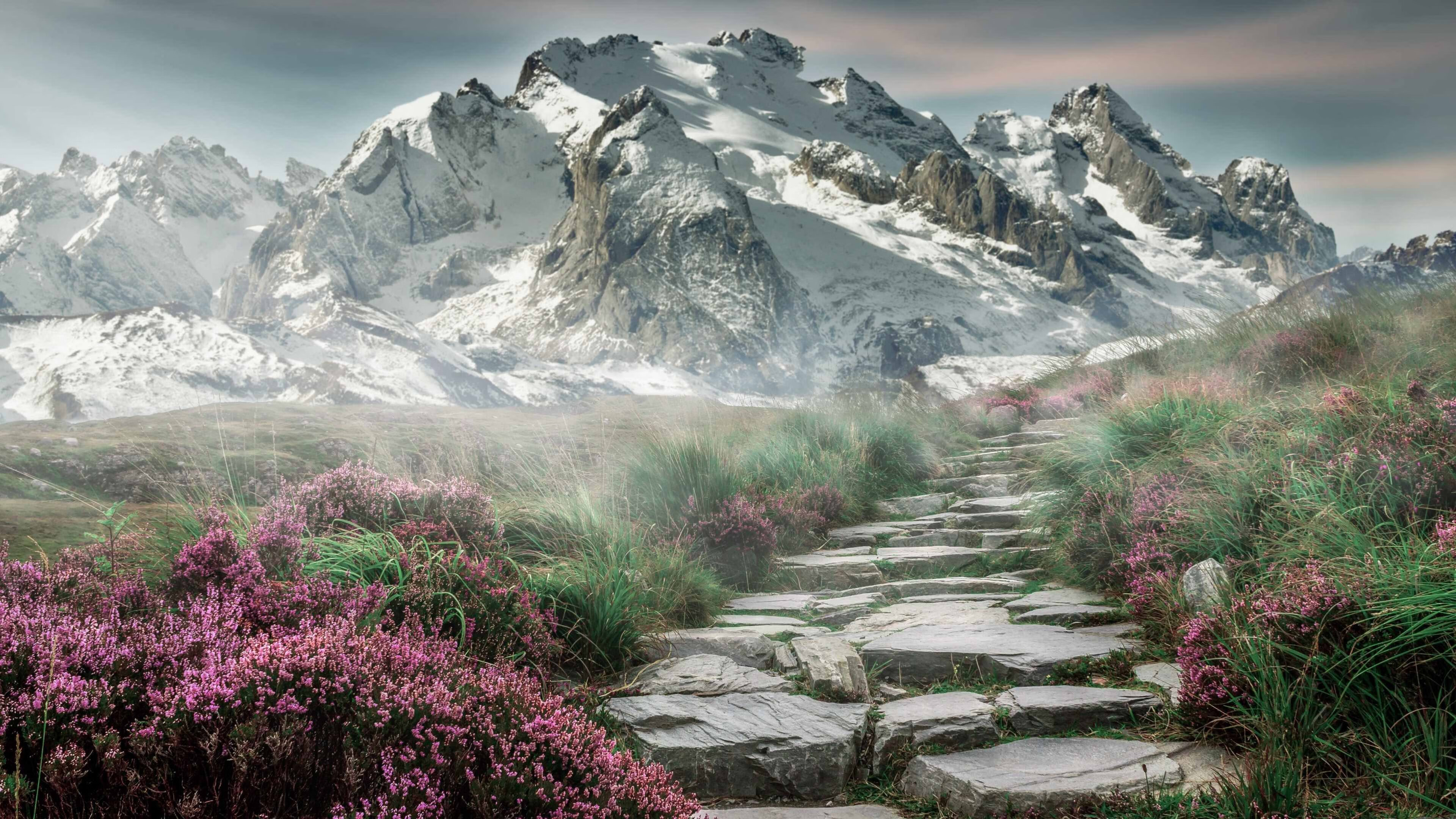 pg电子模拟器试玩在线-骑士一波流撕裂山西，欧文关键先生本色尽显