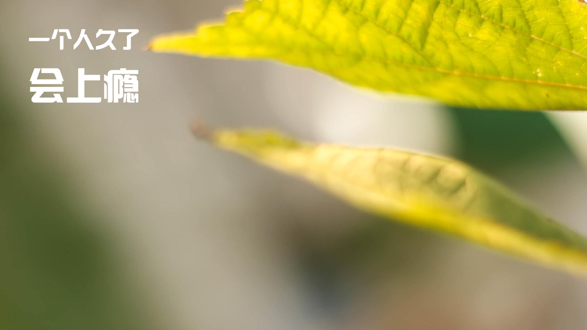 活塞斩落湖人,字母哥攻防两端的绝对统治