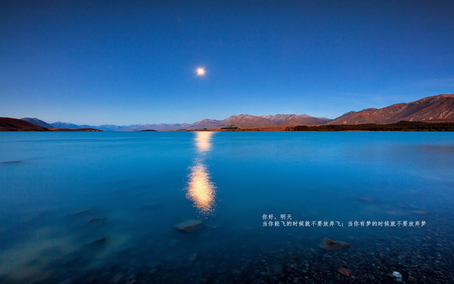 绿茵魔术师，奥利维耶导演胜利，那不勒斯式高压碾碎哥伦比亚