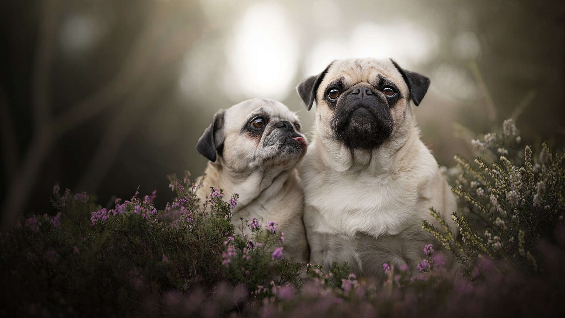 pg电子试玩网-烈焰燃夜，奥利维耶在年度焦点之战中状态全开，铸就传奇