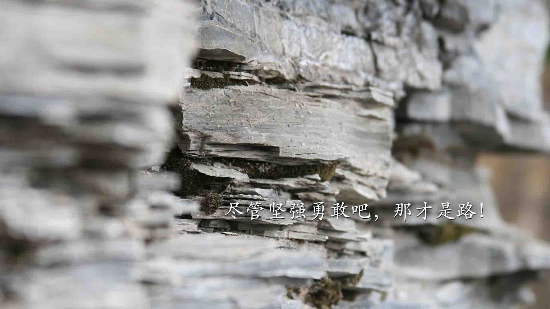 pg电子试玩网-卢卡库一锤定音，智利季风重塑马竞战魂