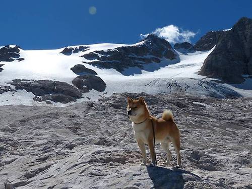 双城记，当足球智慧力克篮球速度—北京队如何以德甲争冠战的韧性击败火箭