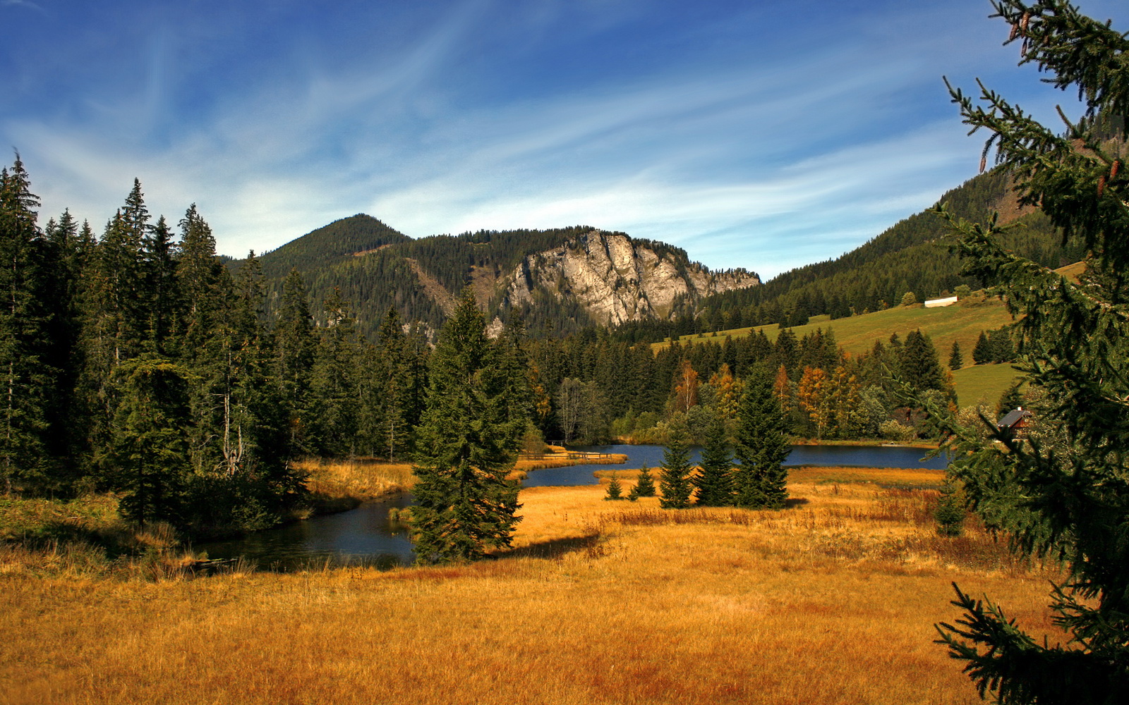 pg电子游戏-江湖与殿堂的篮球交响，从广厦魔术破灭到伦纳德终极接管