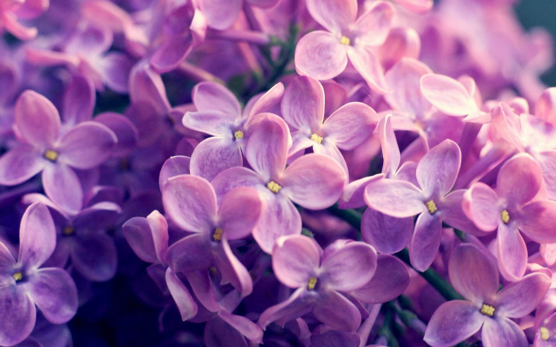 沉默的号角，托尼在枪手红色交响曲中完成无声革命