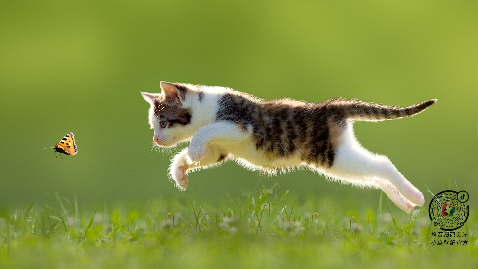 土耳其豪门惨遭数据碾压,奥利维耶用一场比赛写就的大师级定义