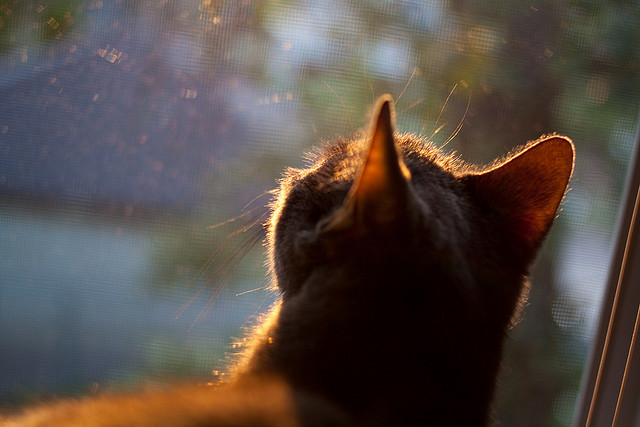 斯通斯一锤定音，巴拉圭强压洪都拉斯