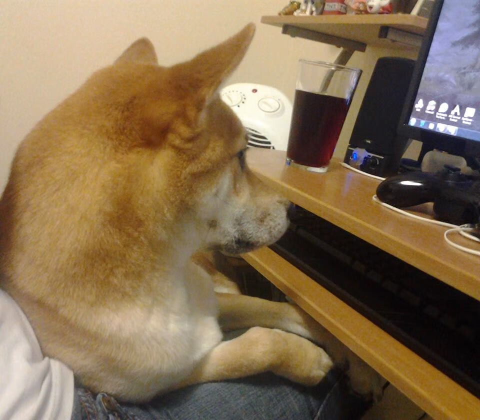 夜色中的绝对主宰，阿尔瓦雷斯让F1街道赛之夜悬念提前终结