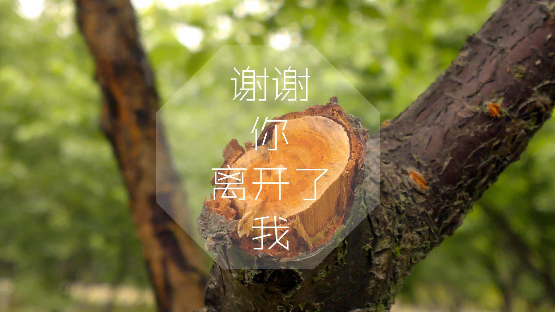 pg电子下载-逆转之光，阿方索·戴维斯引领瑞士绝地翻盘乌兹别克斯坦